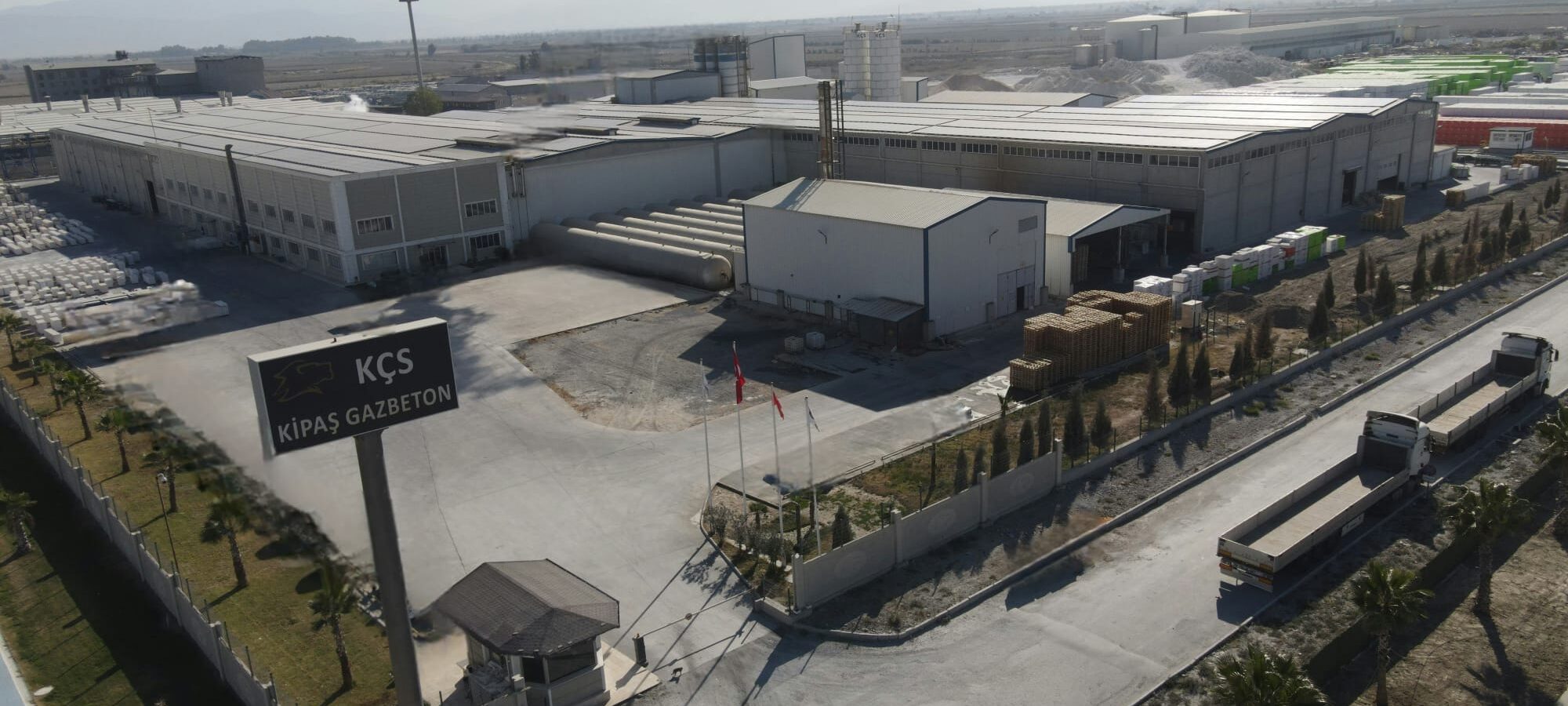 WhatsApp Image 2025-01-07 at 10.42.51